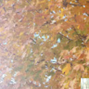 Meet your Posher, Norma